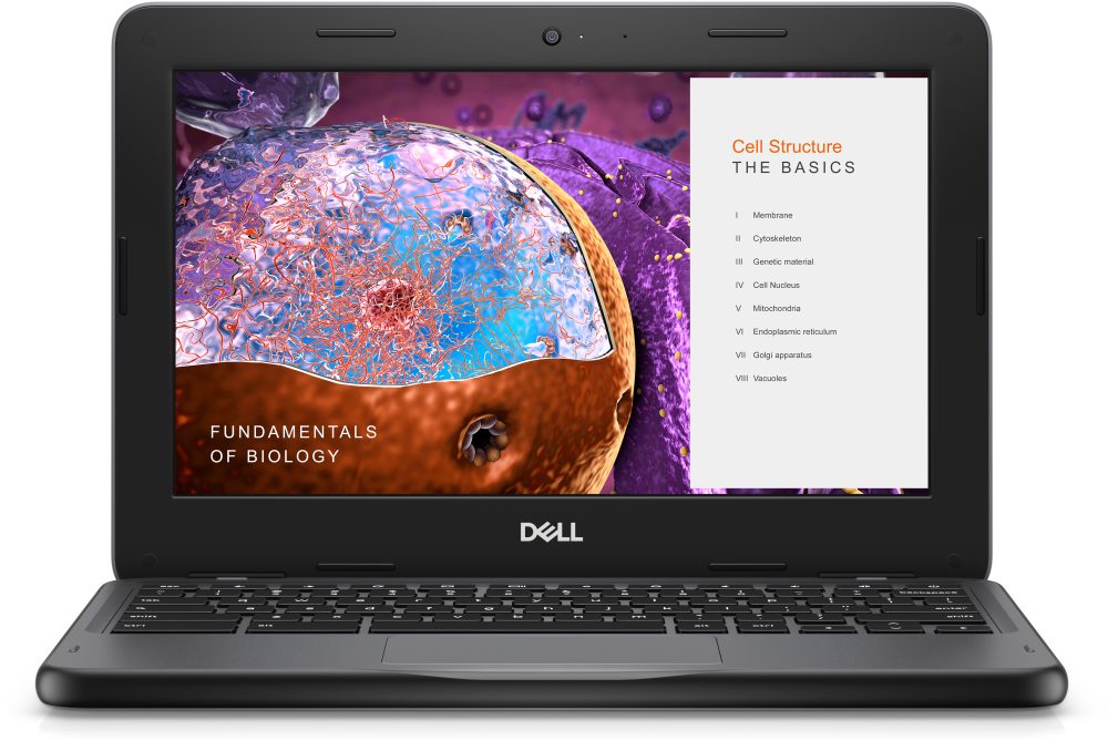 CTO - 3000174908571.1 / 210-BCGK - Dell Chromebook 3110 - CTO CRM3110 N4500 8G 64G